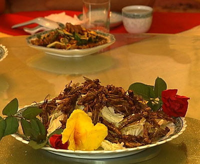 全家動員去養蟲